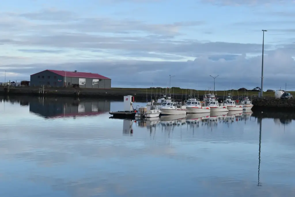 Höfn