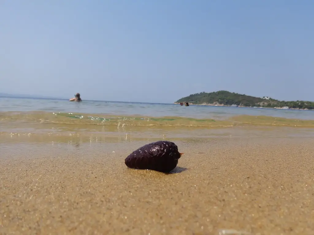 Koukounaries strand (Görögország legjobb strandjai közt)