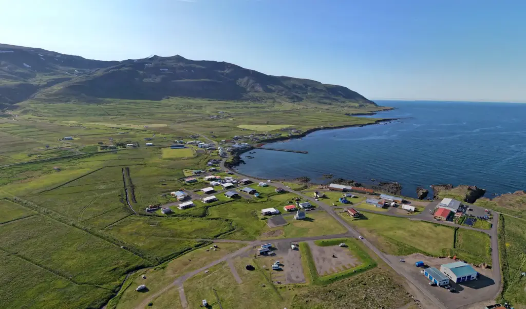 Borgarfjörður Eystri – papagájbúvár kolónia