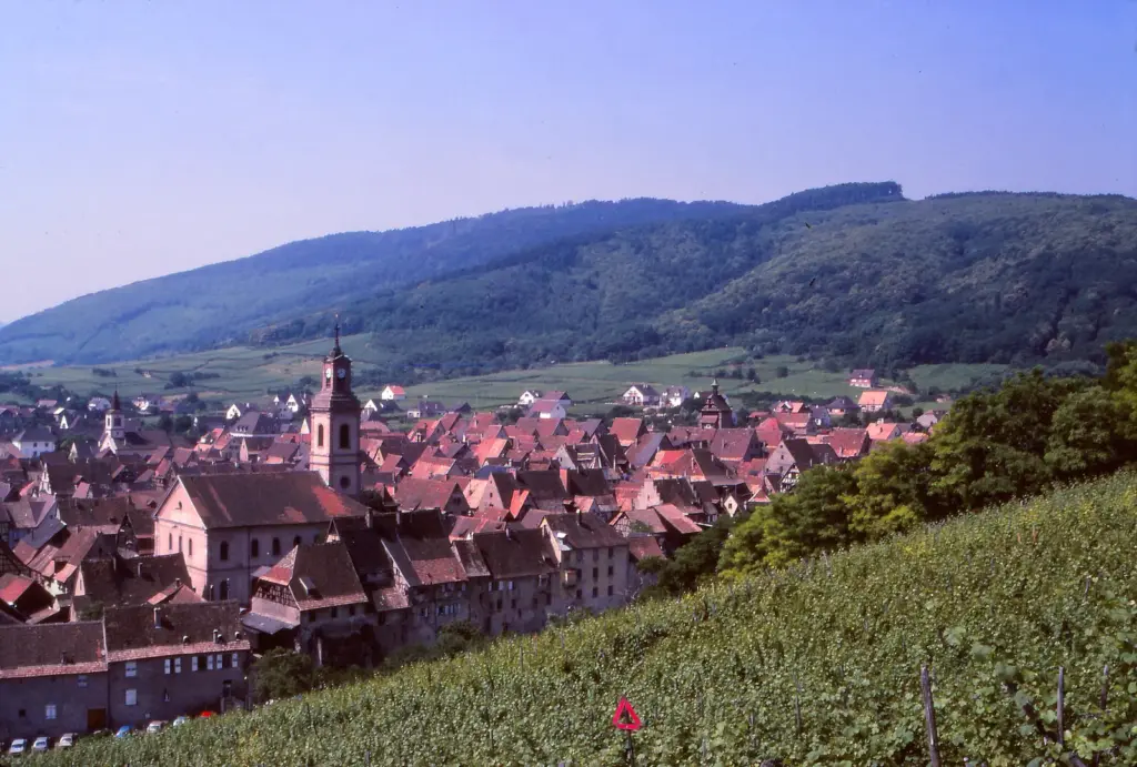Riquewihr borút falva