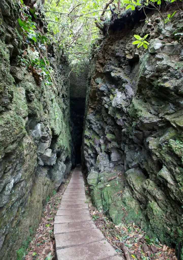 Levada-túrák