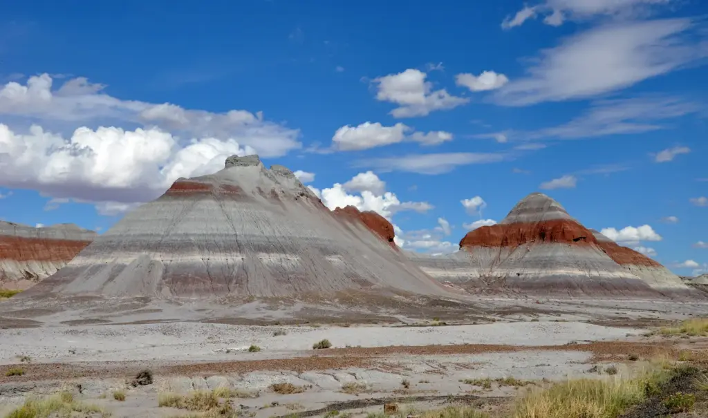 Petrified Forest – kövesedett erdő (UNESCO)