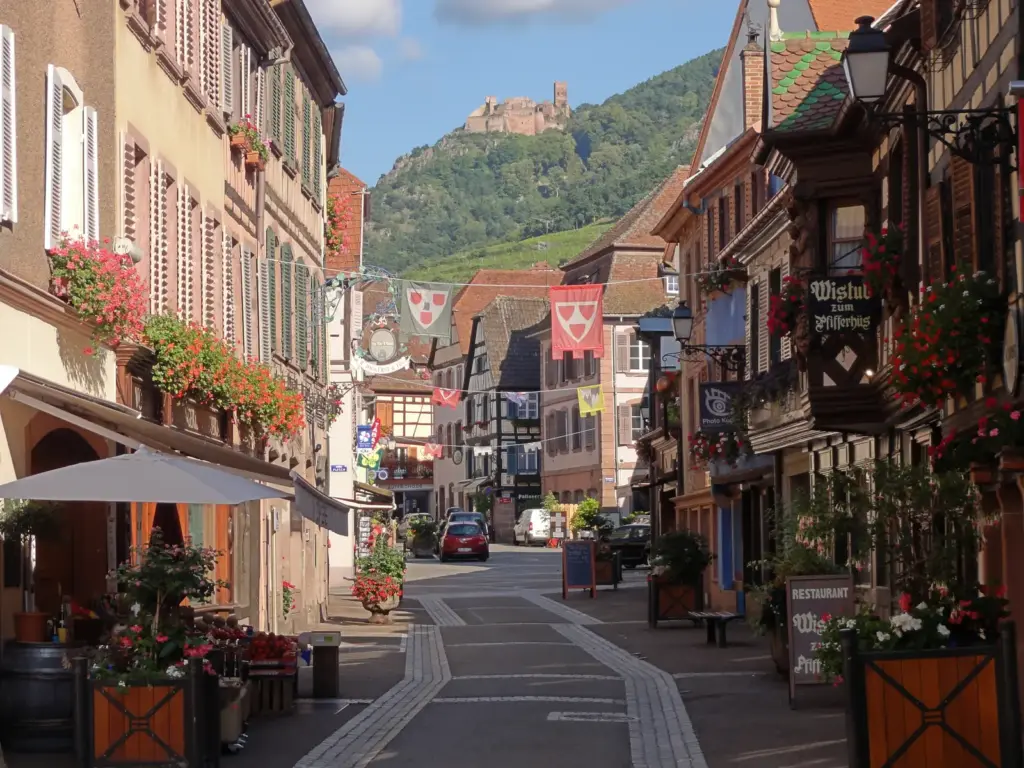 Alsace borút – Riquewihr, Ribeauvillé