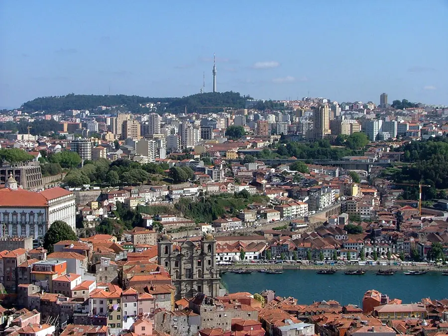 Vila Nova de Gaia borpincék